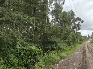 Prime 3.5 Acres of Land for Sale in Ngong, Matasia Near Merisho