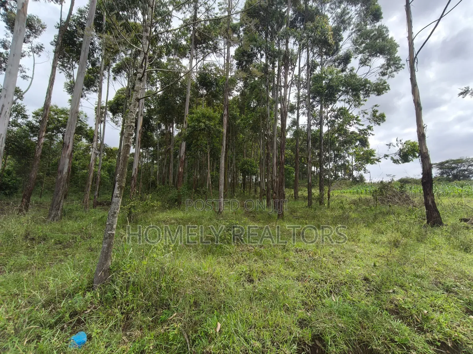 Prime 3.5 Acres of Land for Sale in Ngong, Matasia Near Merisho