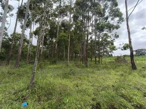 Prime 3.5 Acres of Land for Sale in Ngong, Matasia Near Merisho