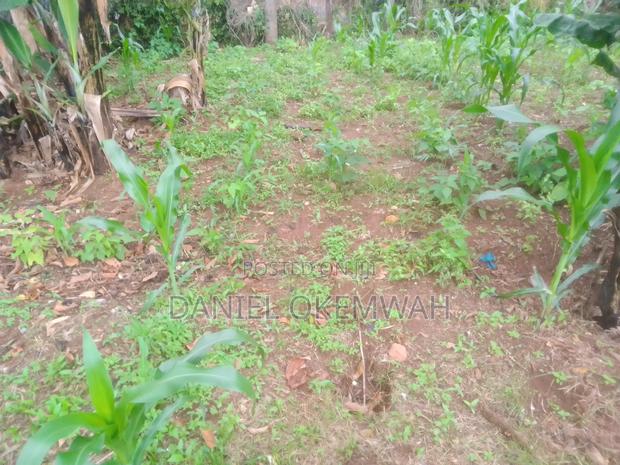 Residential Plot 50/100ft in Soy Kakamega County - main view