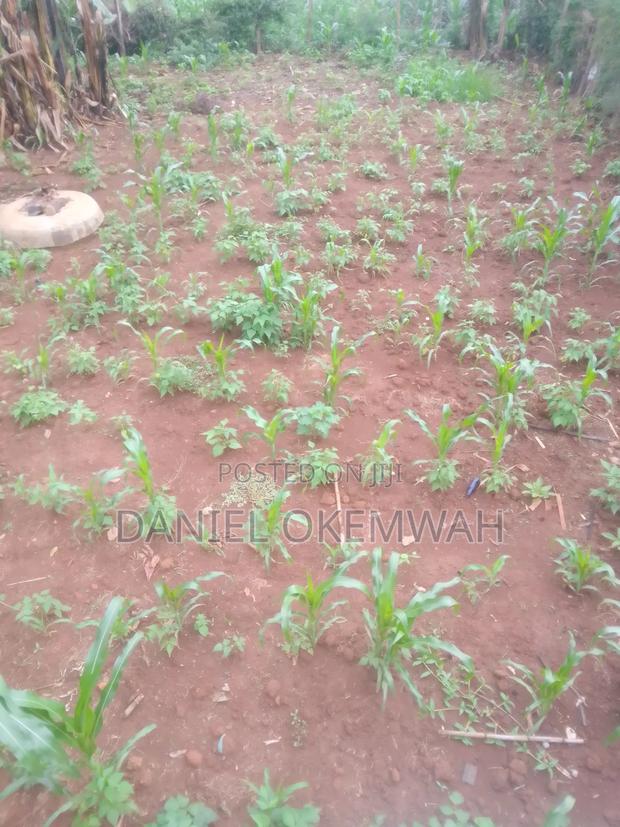 Residential Plot 50/100ft in Soy Kakamega County - thumbnail 2