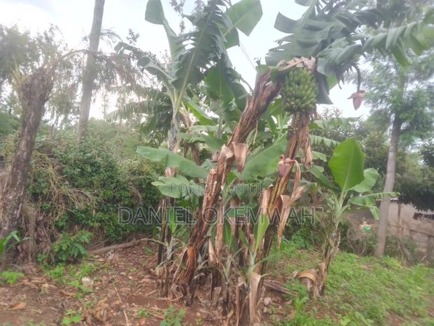 Residential Plot 50/100ft in Soy Kakamega County - thumbnail 3