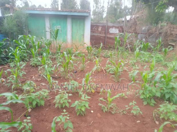 Residential Plot 50/100ft in Soy Kakamega County - thumbnail 5