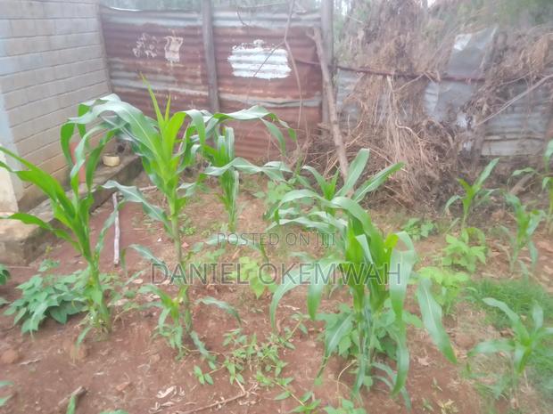 Residential Plot 50/100ft in Soy Kakamega County - thumbnail 6