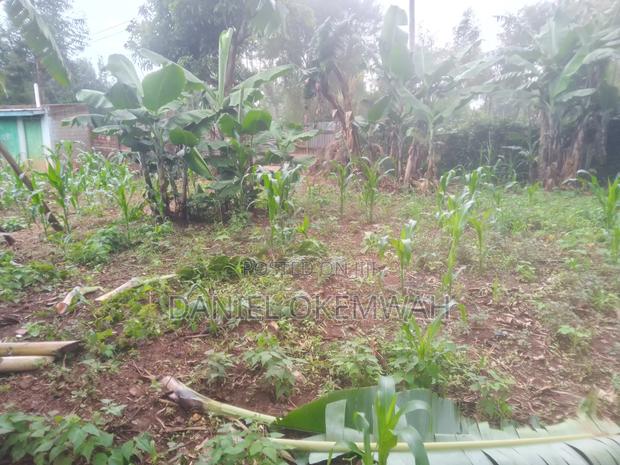 Residential Plot 50/100ft in Soy Kakamega County - thumbnail 9