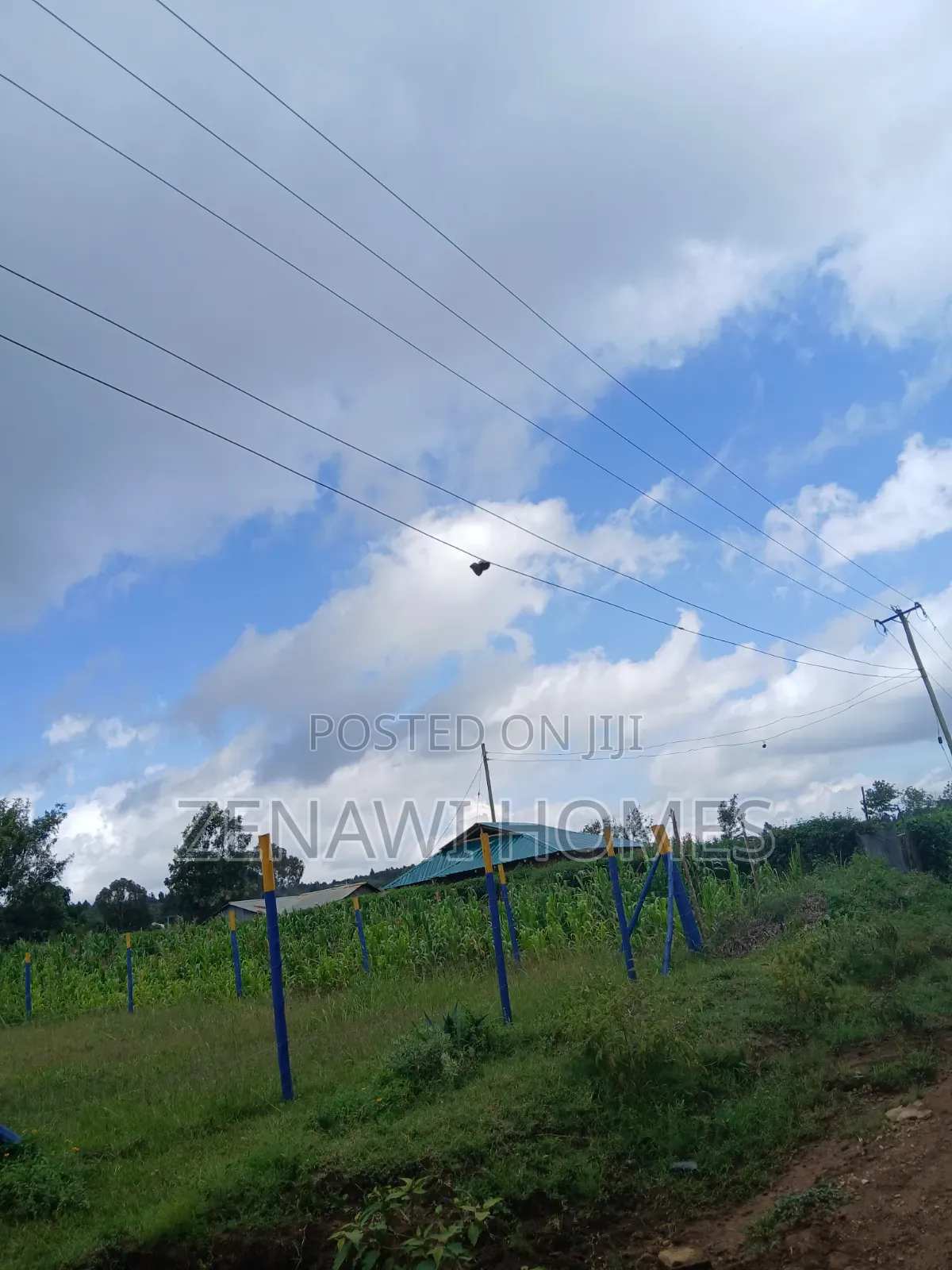 Kamangu Plots 1km Off Tarmac.Ckk