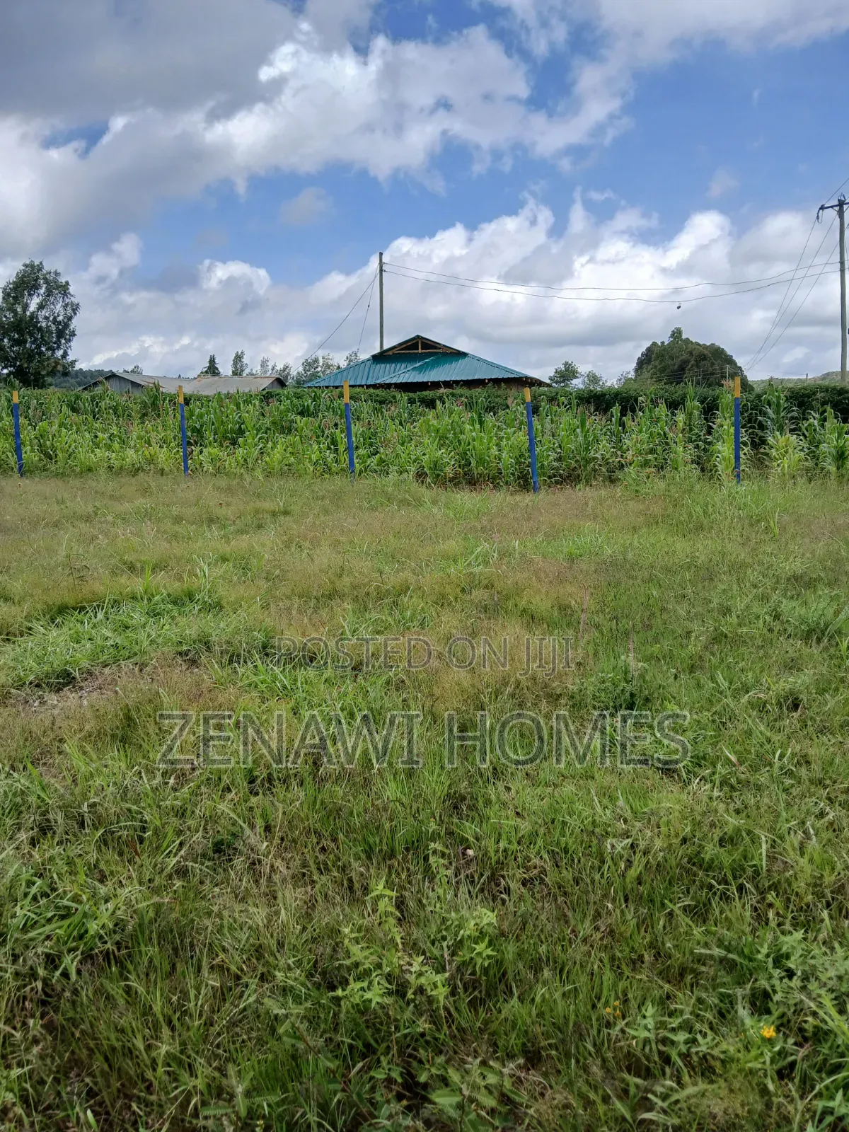 Kamangu Plots 1km Off Tarmac.Ckk