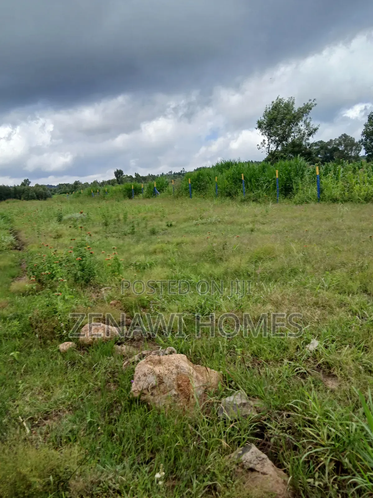 Kamangu Plots 1km Off Tarmac.Ckk