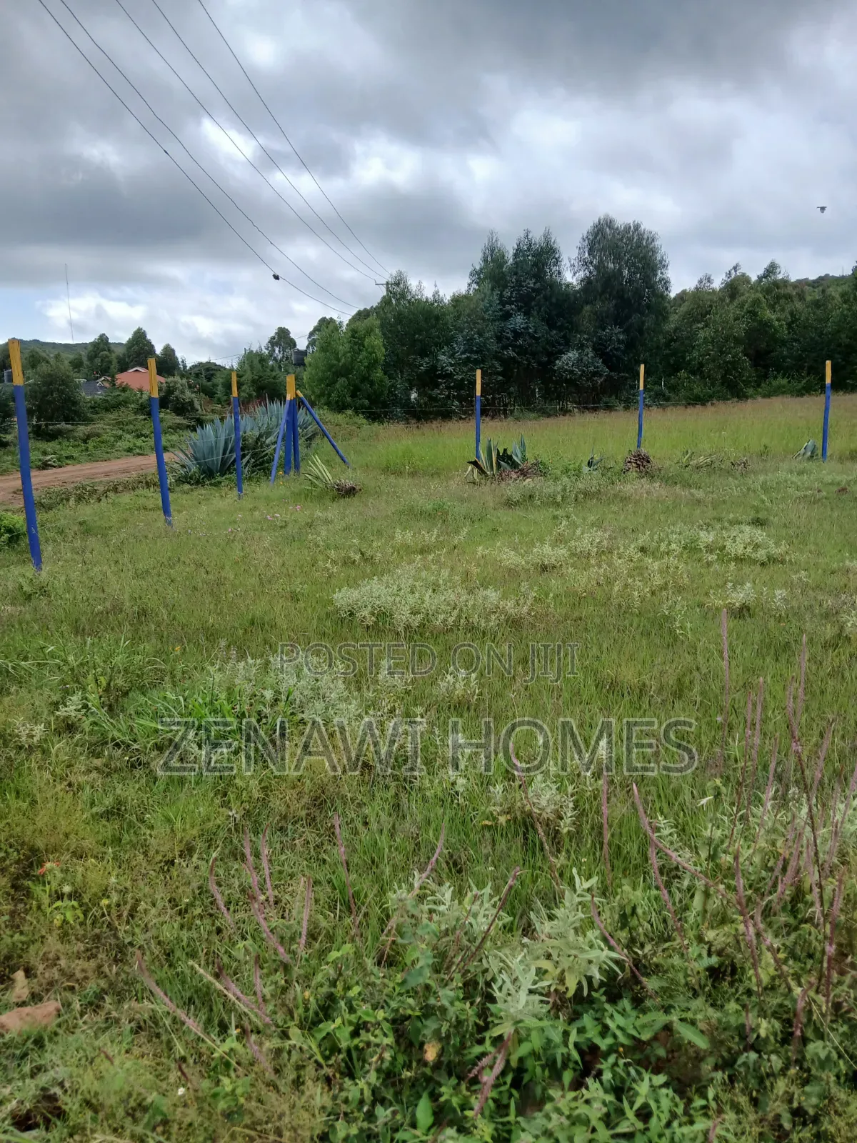 Kamangu Plots 1km Off Tarmac.Ckk