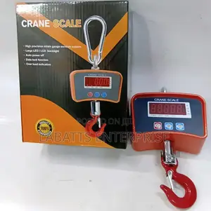 500kg Crane Scale