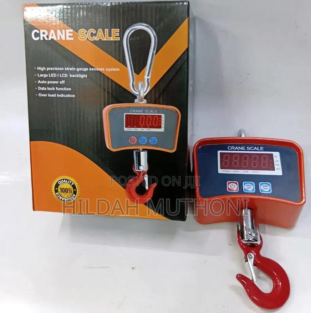 500kg Crane Scale