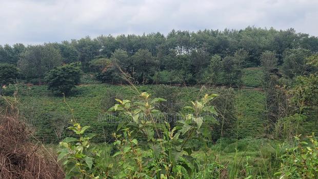 454 Acres on Sale at Gatanga - thumbnail 3