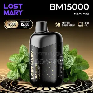 Lost Mary Bm 15000 Puffs Rechargeable Vape - Miami Mint