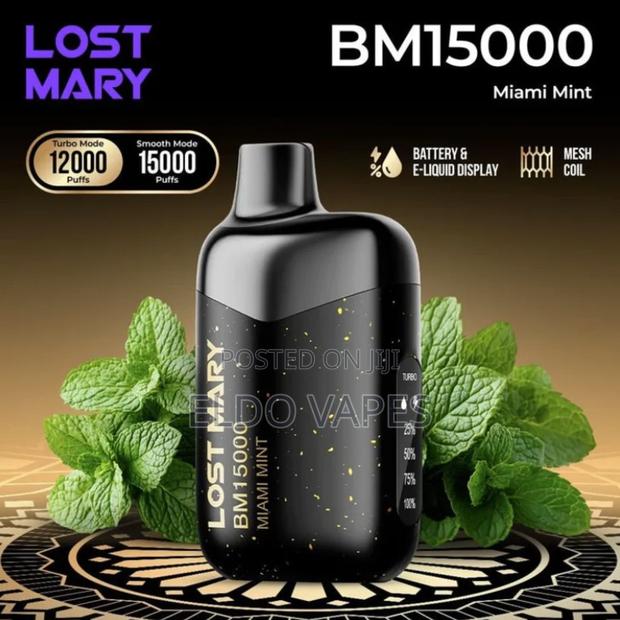 Lost Mary Bm 15000 Puffs Rechargeable Vape - Miami Mint