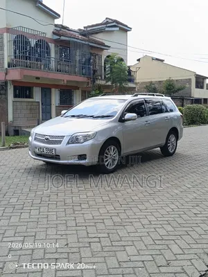 Toyota Corolla Fielder 2007 Silver