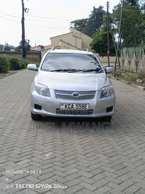 Toyota Corolla Fielder 2007 Silver