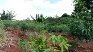 Croton Ridge Estate 1/8 Acre Plot for Sale