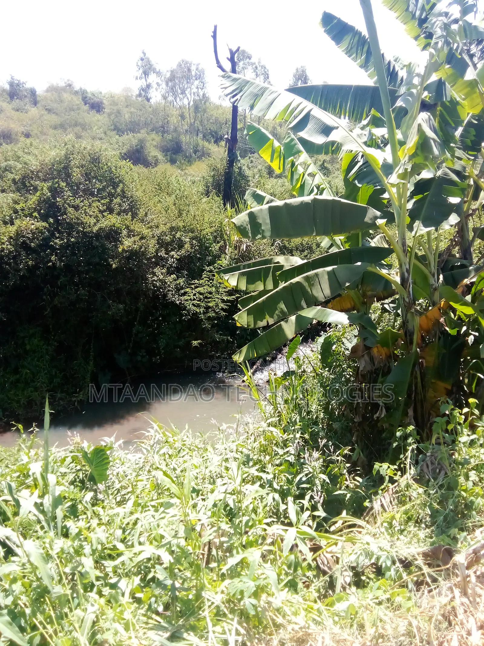 Croton Ridge Estate 1/8 Acre Plot for Sale
