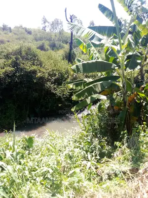 Croton Ridge Estate 1/8 Acre Plot for Sale