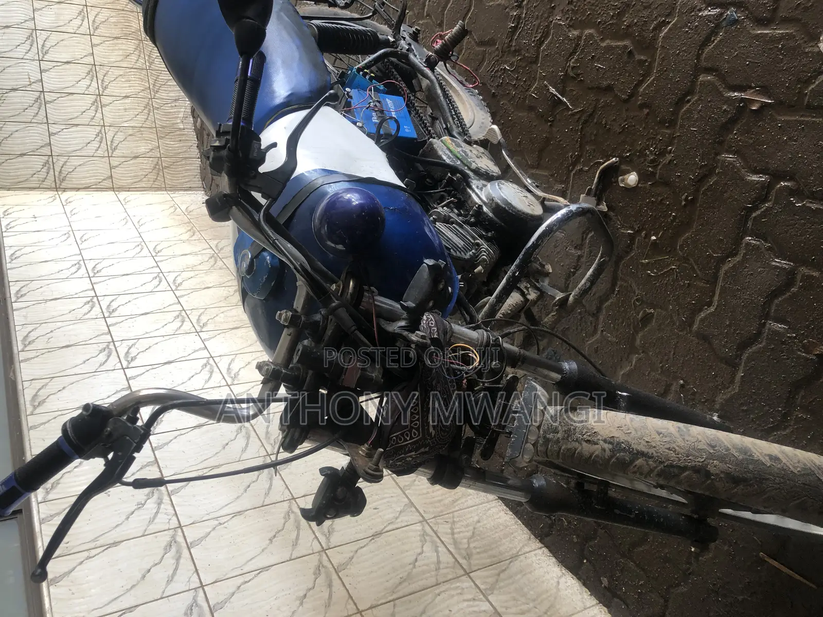 TVS XL 100 2016 Blue