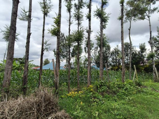 Quarter Acre Plot for Sale in Ngong Along Oloika Road - thumbnail 2