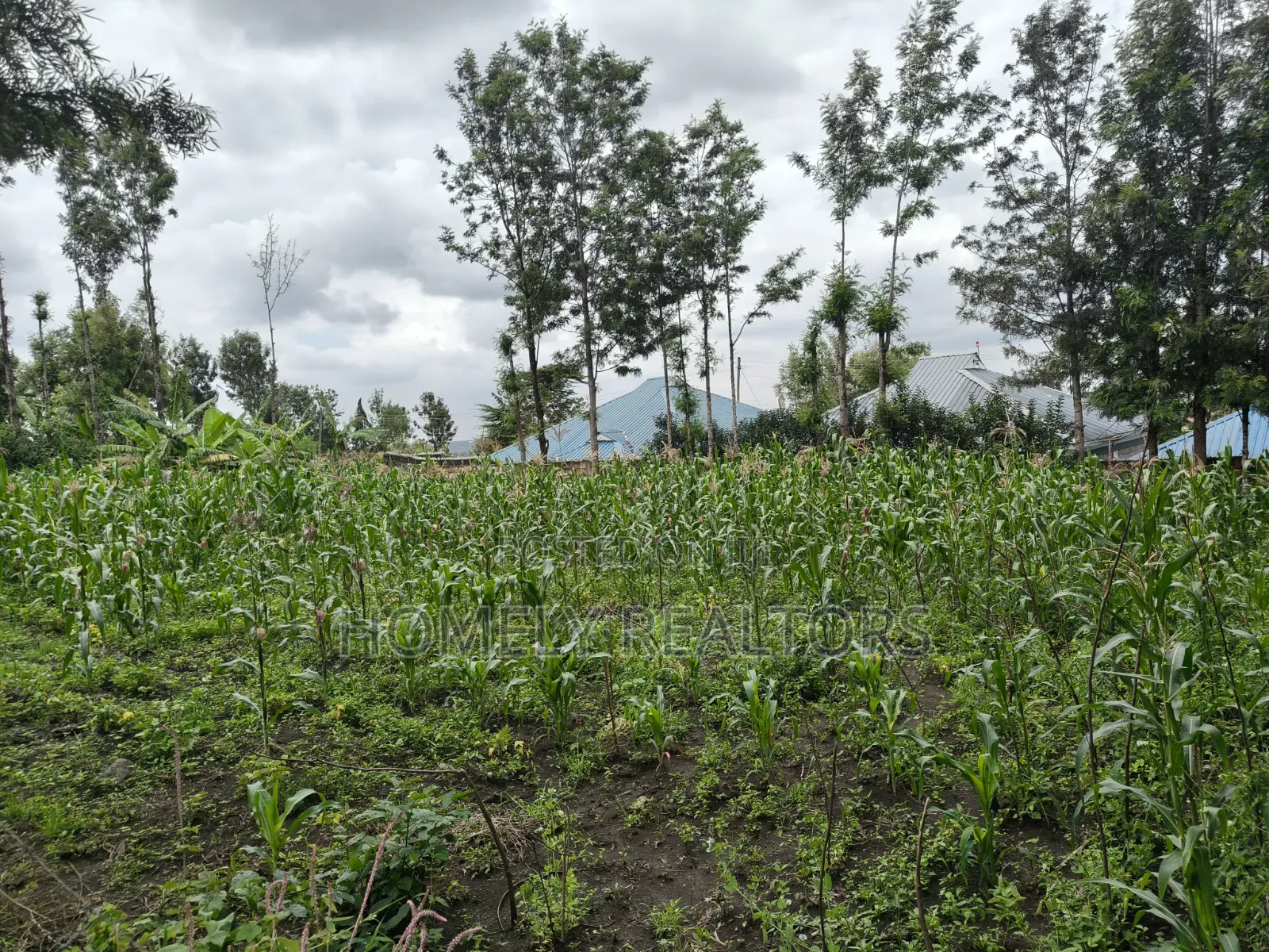 Quarter Acre Plot for Sale in Ngong Along Oloika Road
