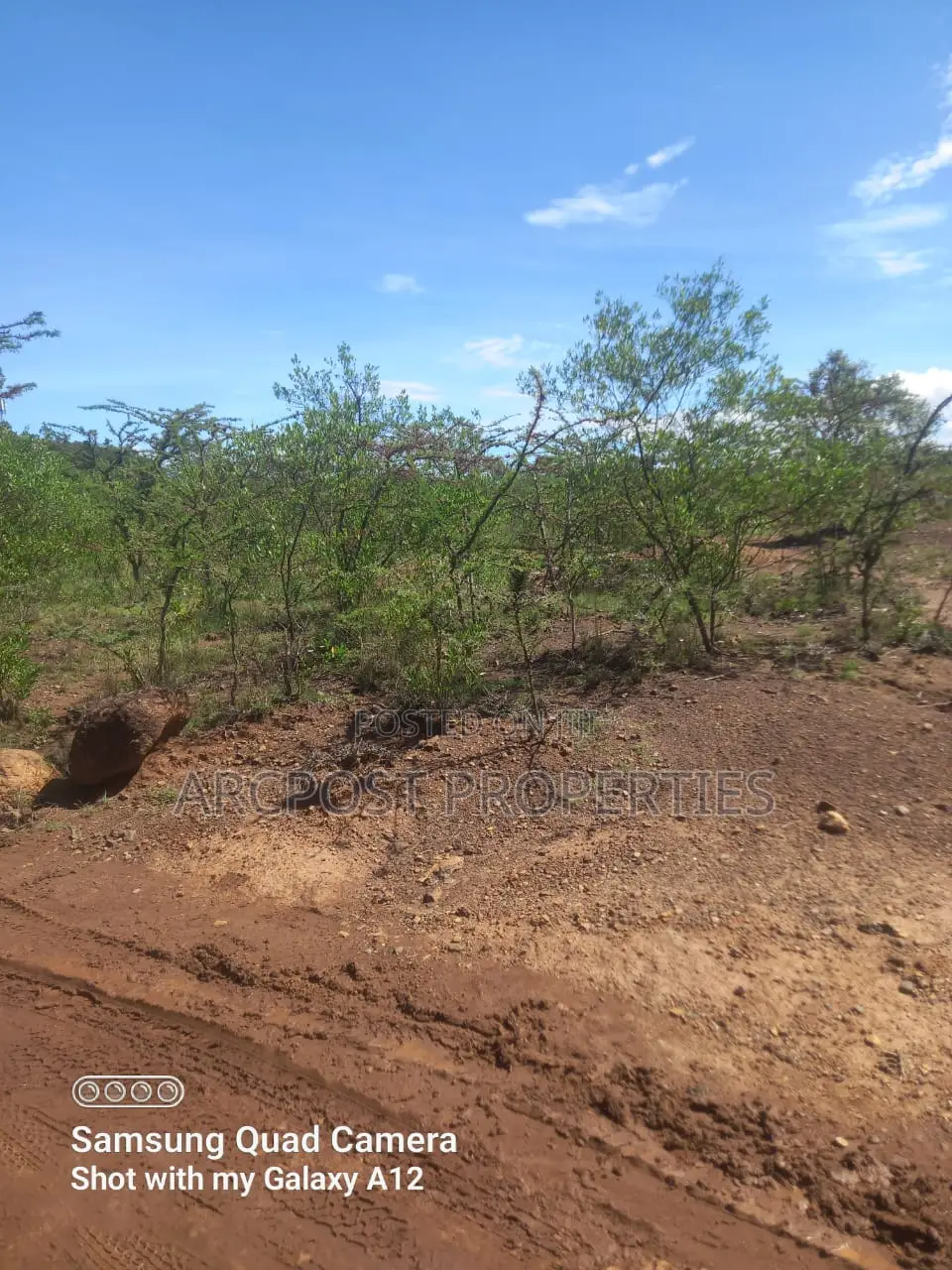 Prime Residential Plot For Sale In Makutano, Nanyuki