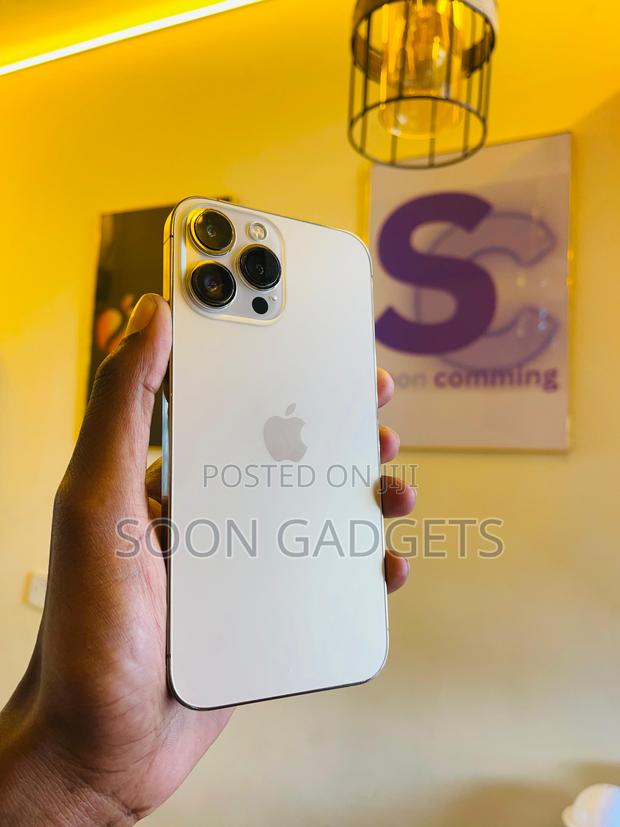 Apple iPhone 13 Pro Max 256 GB Gold - thumbnail 2