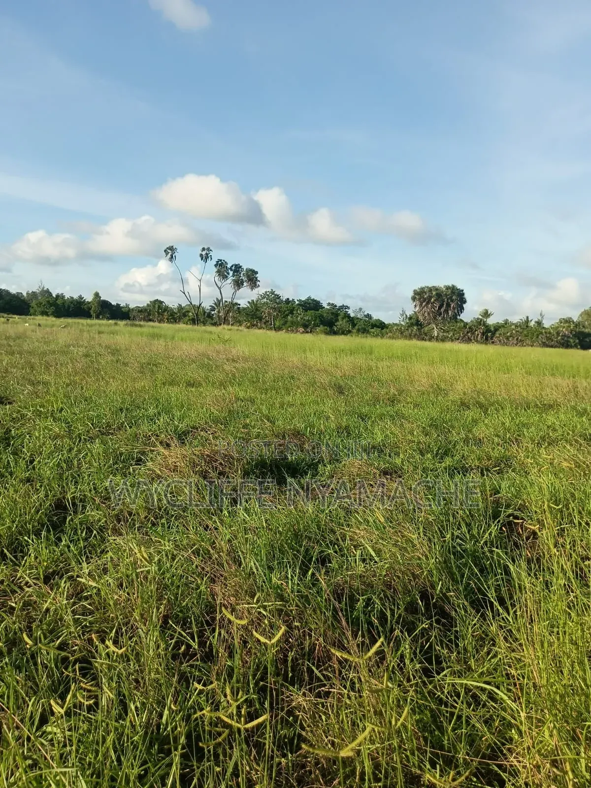 Land for Sale