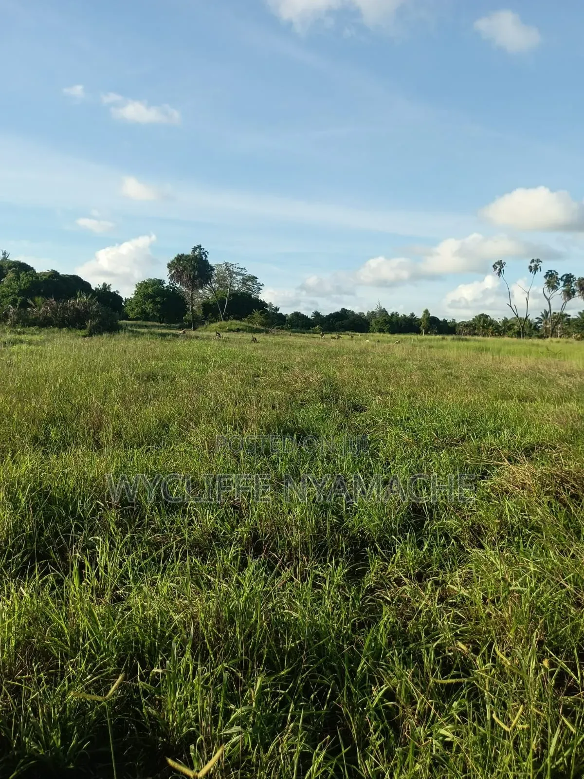 Land for Sale
