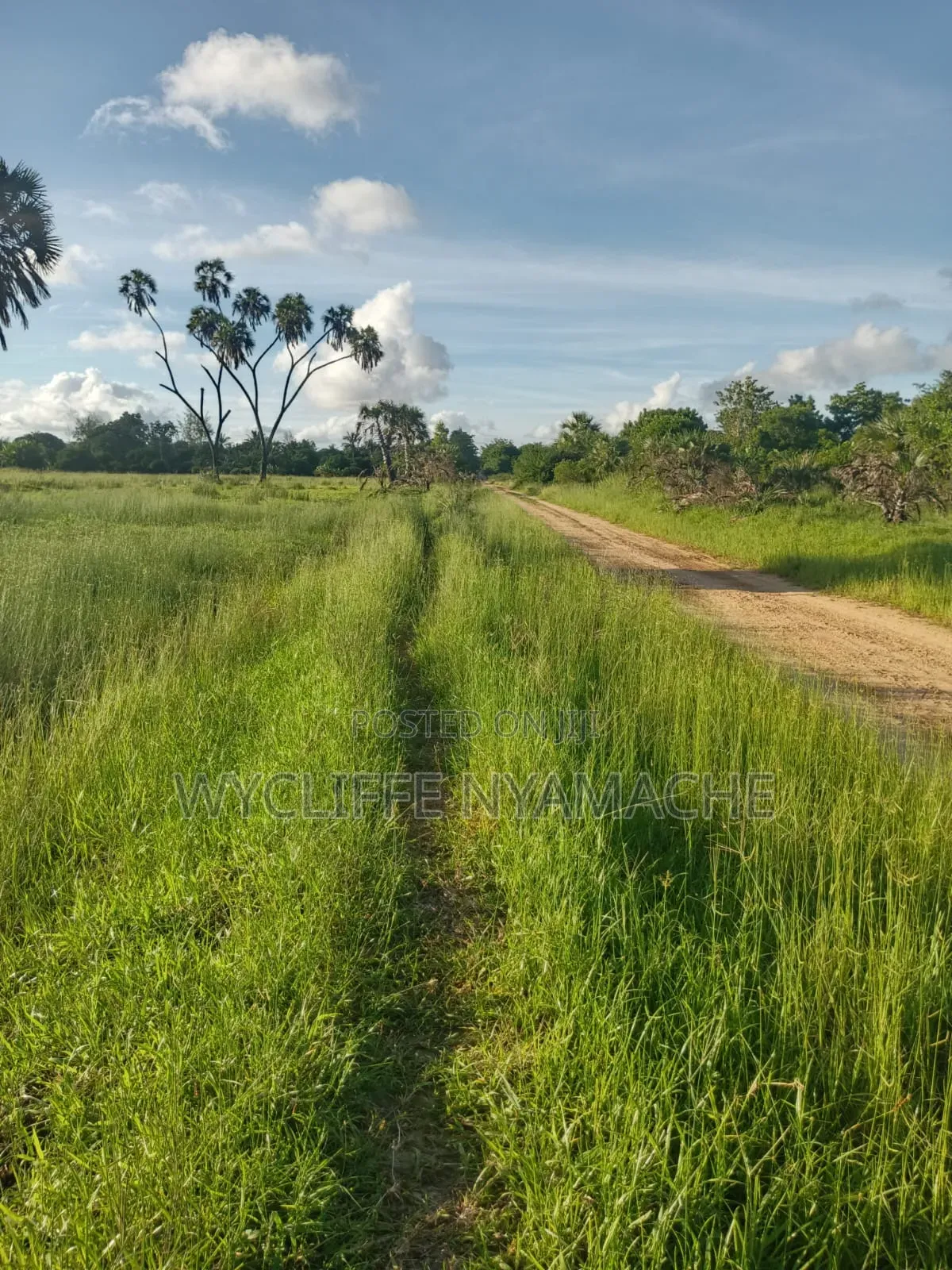 Land for Sale