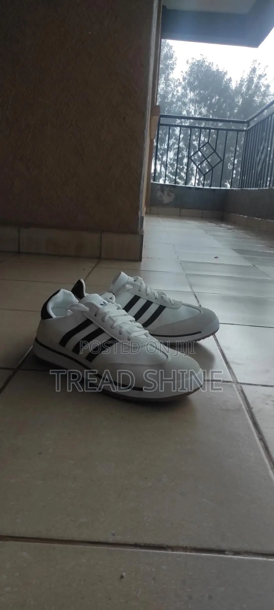 Treadandshine
