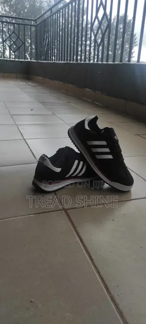 Treadandshine