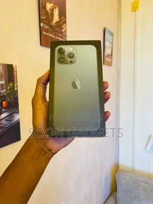 Apple iPhone 13 Pro Max 256 GB Green