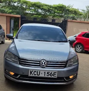 Volkswagen Passat S 2013 Blue