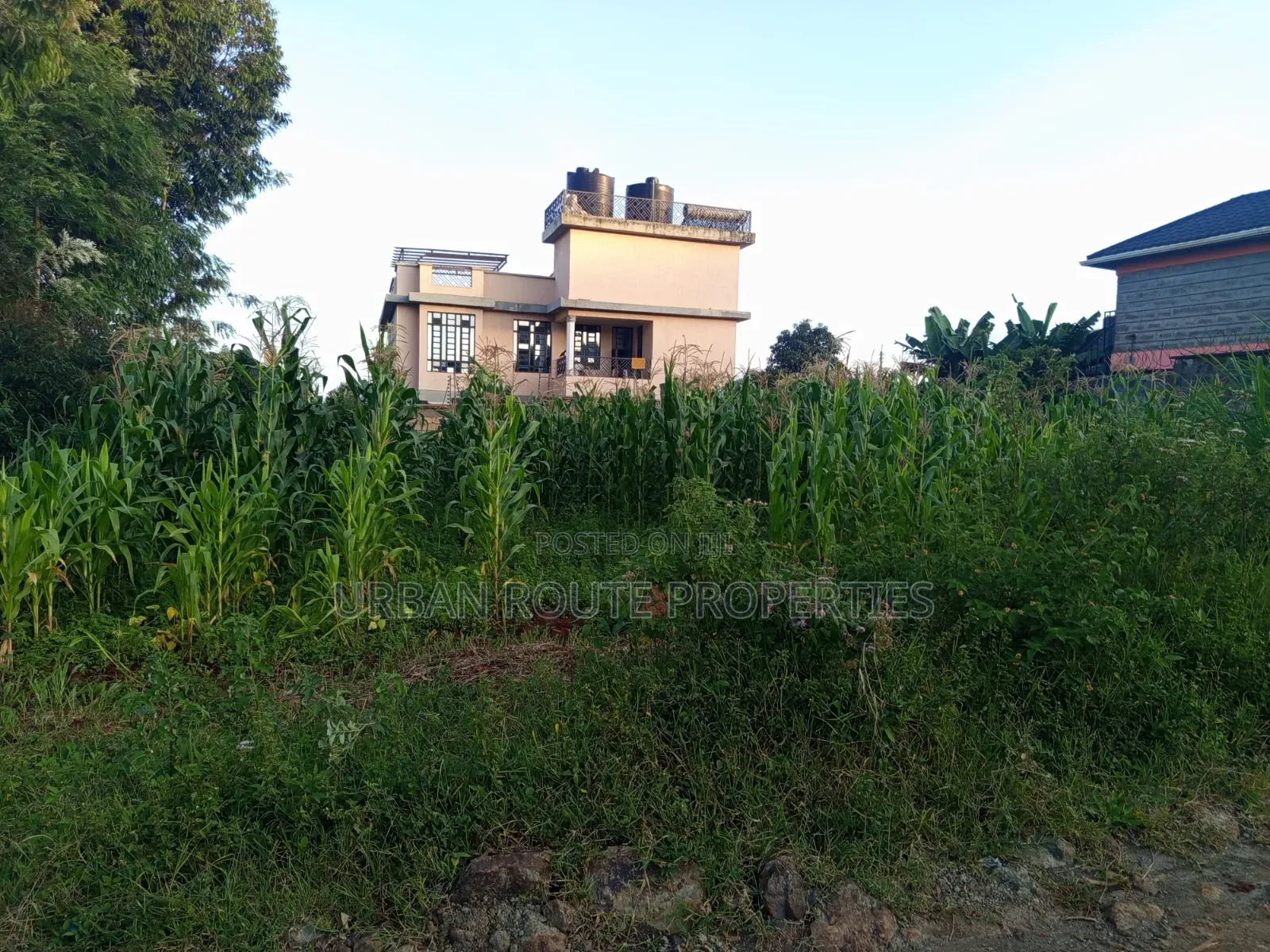 100*100 Plot in Gikambura