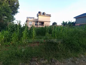 100*100 Plot in Gikambura