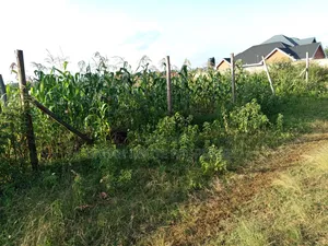 50*100 Plot in Kamangu