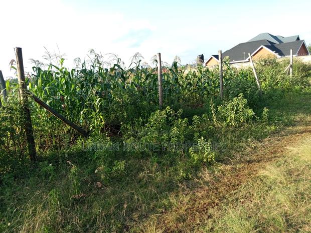 50*100 Plot in Kamangu
