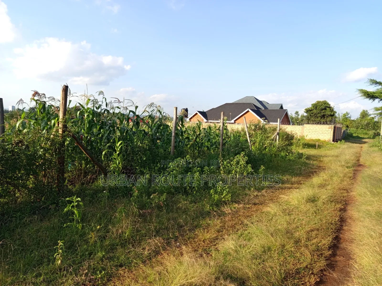 50*100 Plot in Kamangu