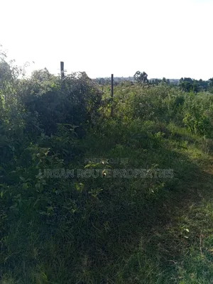 50*100 Plot in Kamangu
