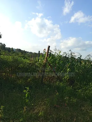 50*100 Plot in Kamangu