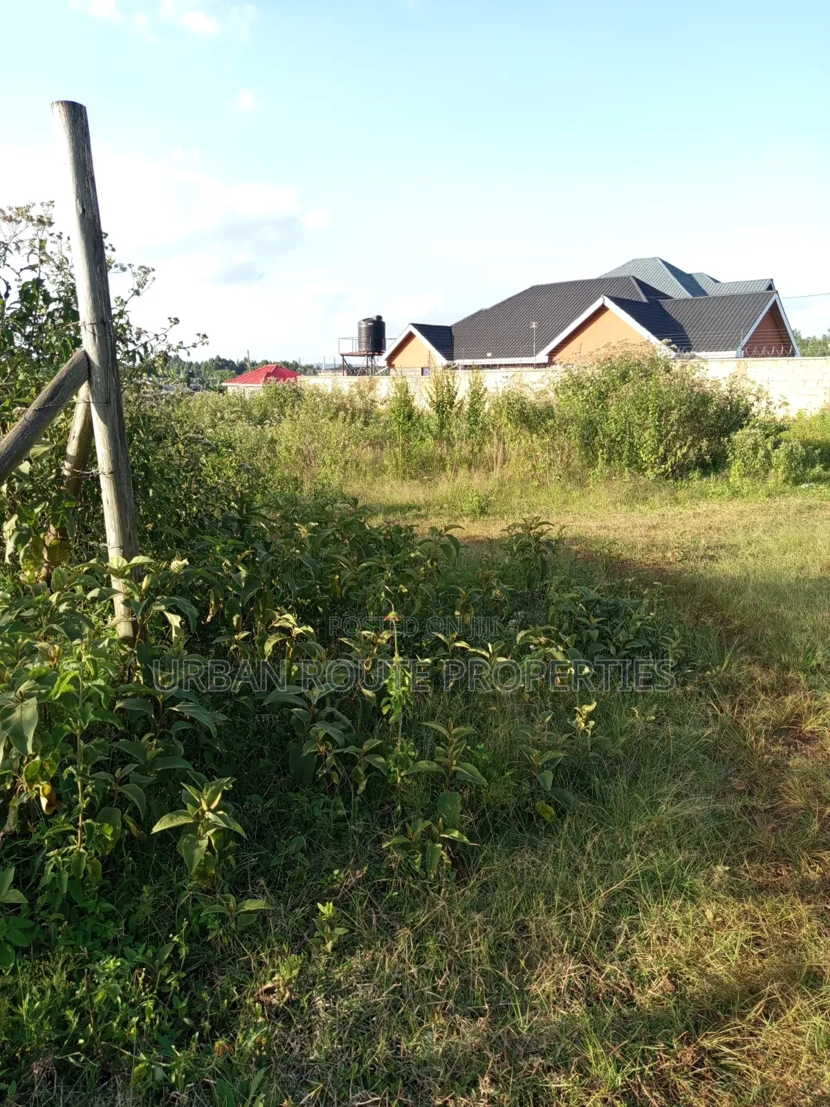 50*100 Plot in Kamangu