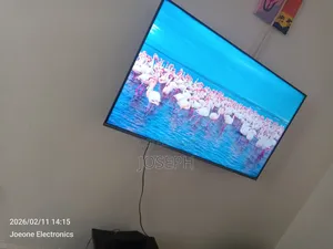 All Television Backlights and Repair Services