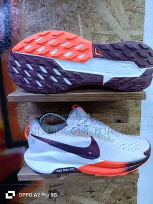 Nike Pegasus Trail 5 Running Shoes