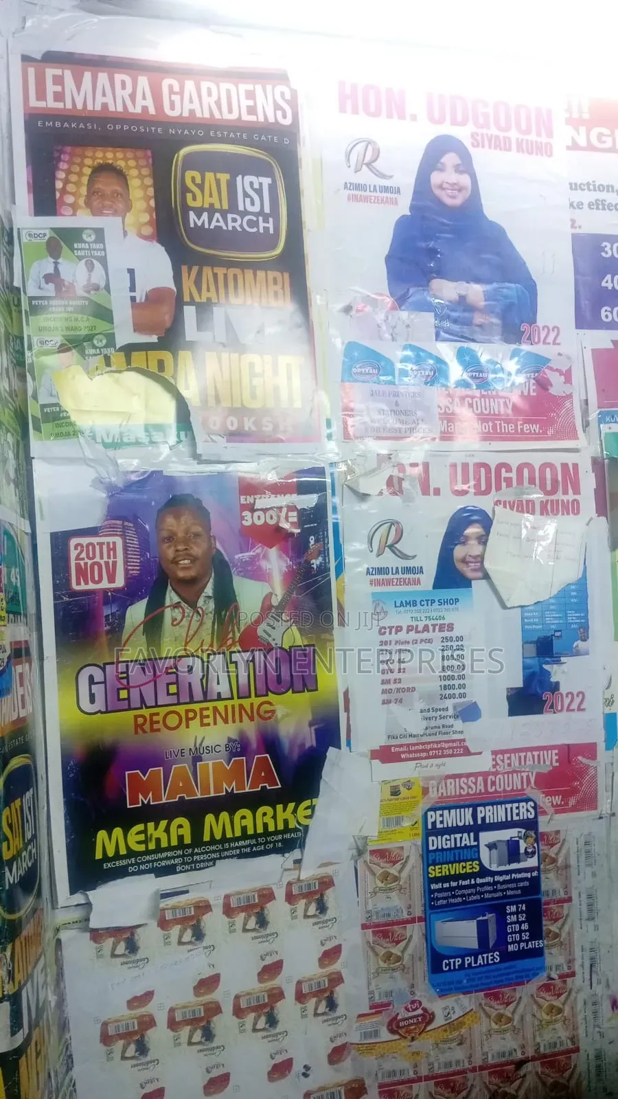 Customized Campaign Posters