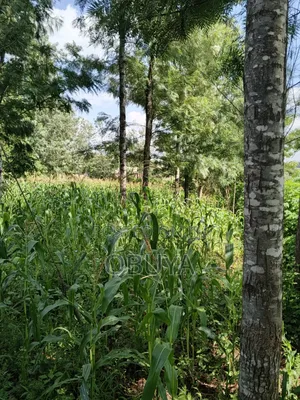 Land on Sale