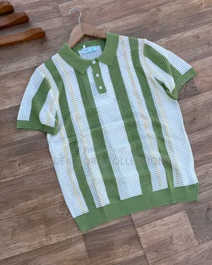 Men High Premium Stripped Tshirts