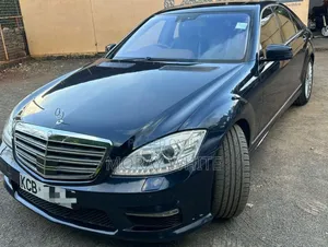 Mercedes-Benz S-Class S 500 (W221) 2009 Blue