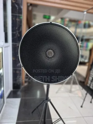 Silver 42cm Metallic Beauty Dish With Grid and Diffuser